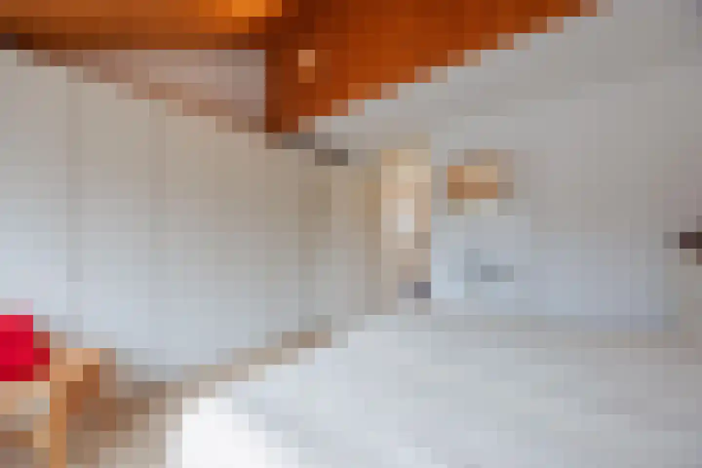Benraatshoef 37 Raamsdonksveer thumbnail 26