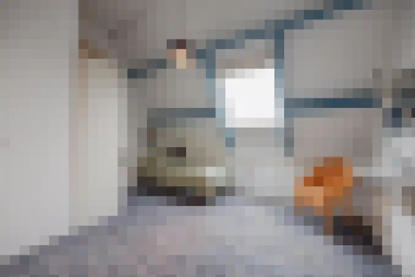 Benraatshoef 37 Raamsdonksveer thumbnail 27