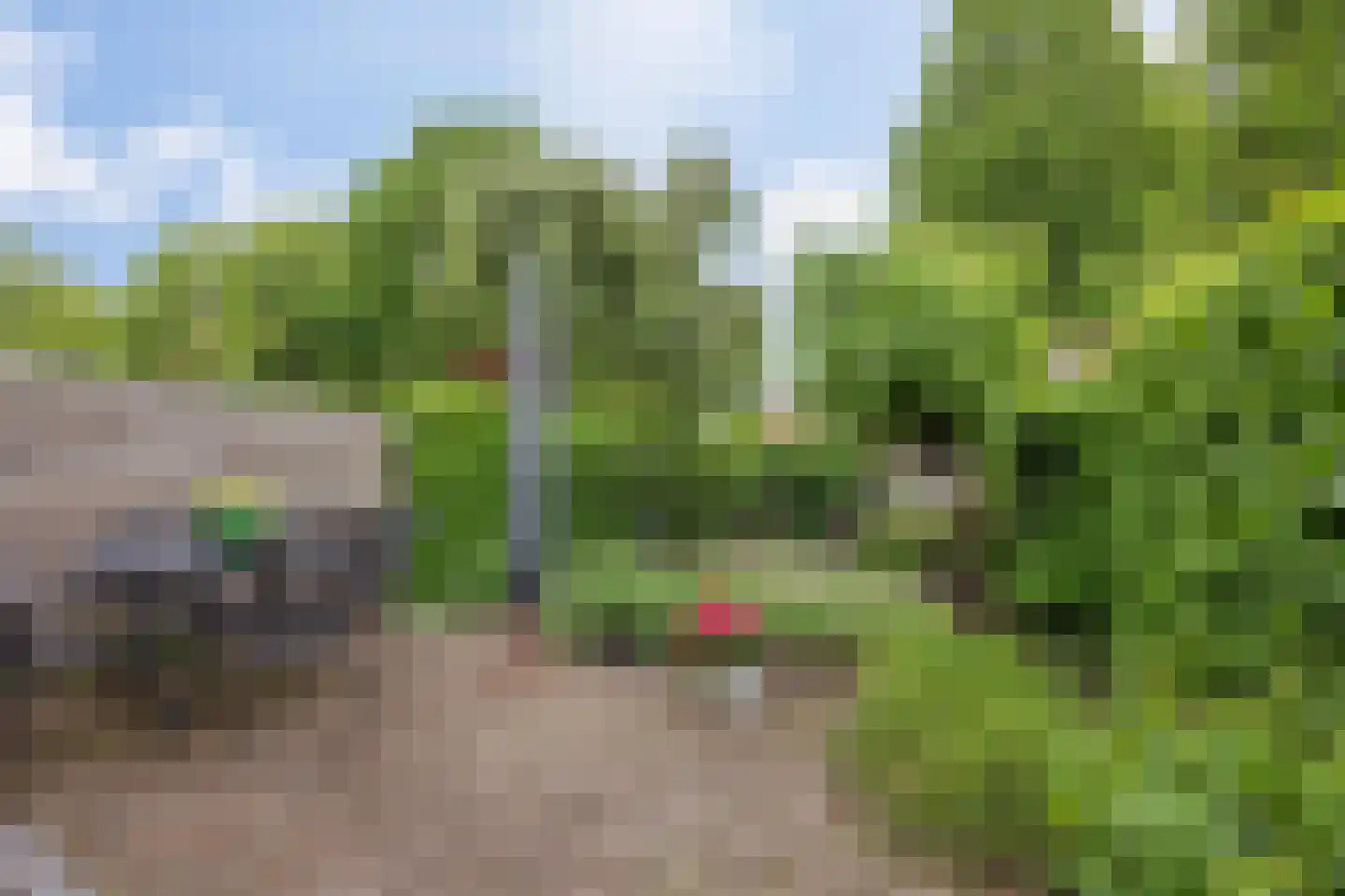 Benraatshoef 37 Raamsdonksveer thumbnail 29