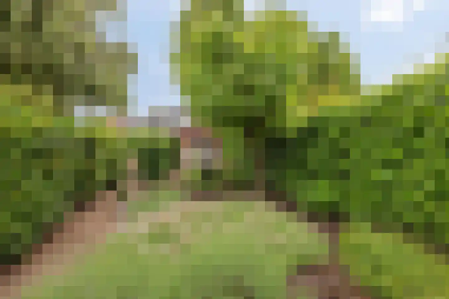 Benraatshoef 37 Raamsdonksveer thumbnail 30