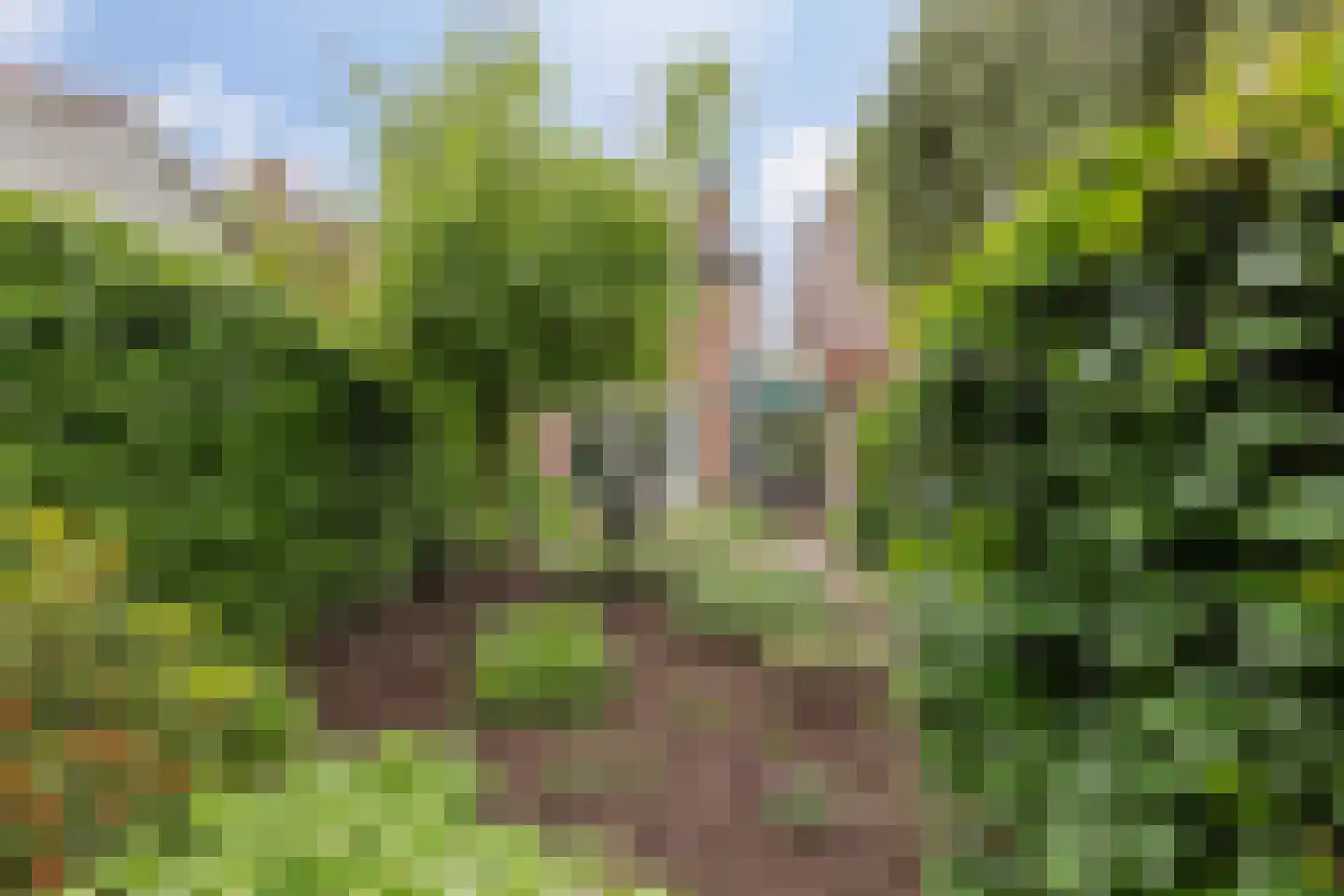 Benraatshoef 37 Raamsdonksveer thumbnail 31