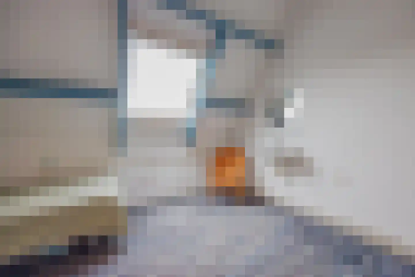 Benraatshoef 37 Raamsdonksveer thumbnail 31