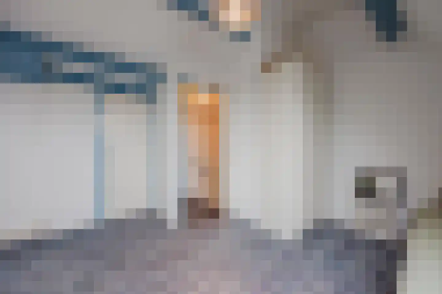 Benraatshoef 37 Raamsdonksveer thumbnail 32