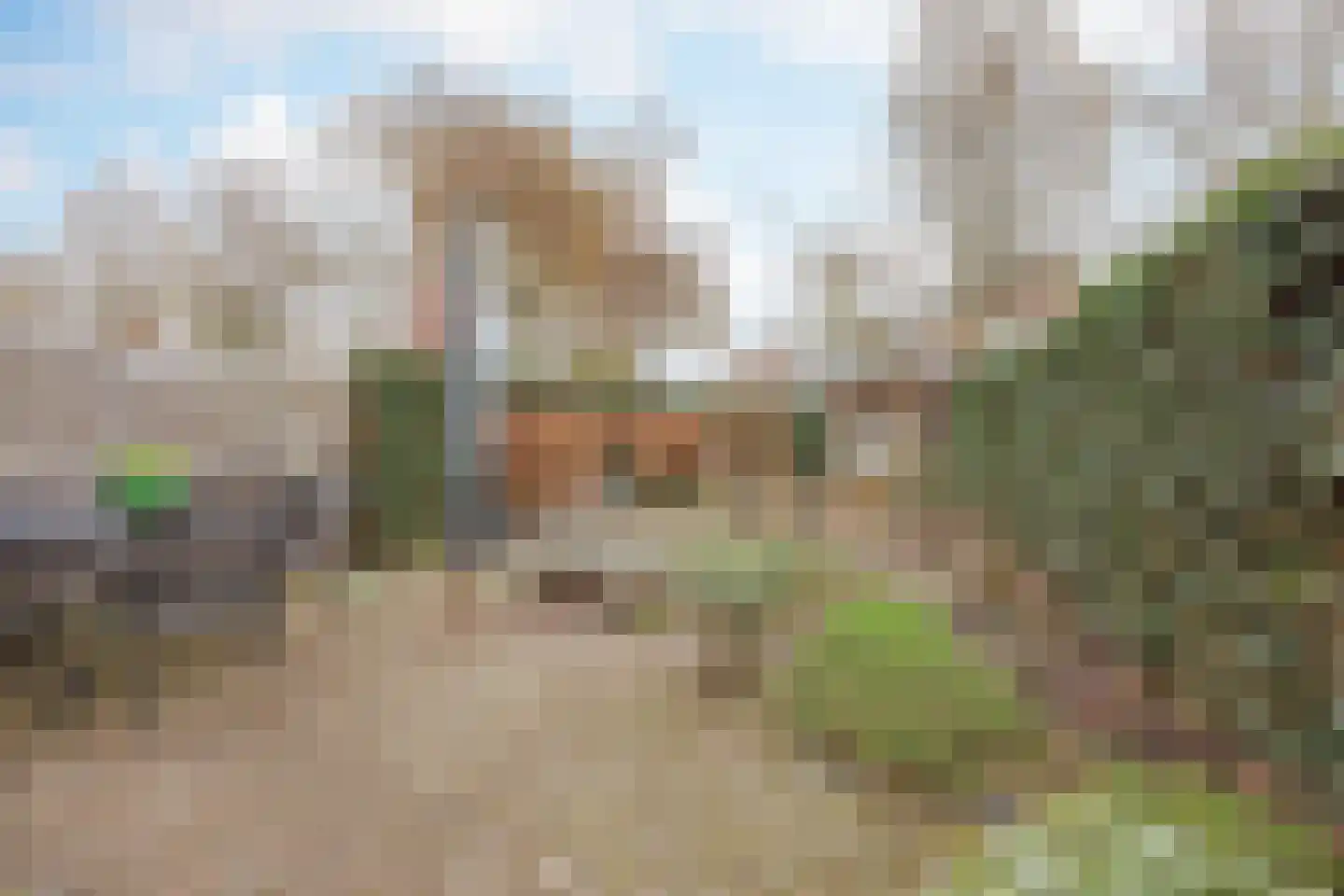 Benraatshoef 37 Raamsdonksveer thumbnail 34