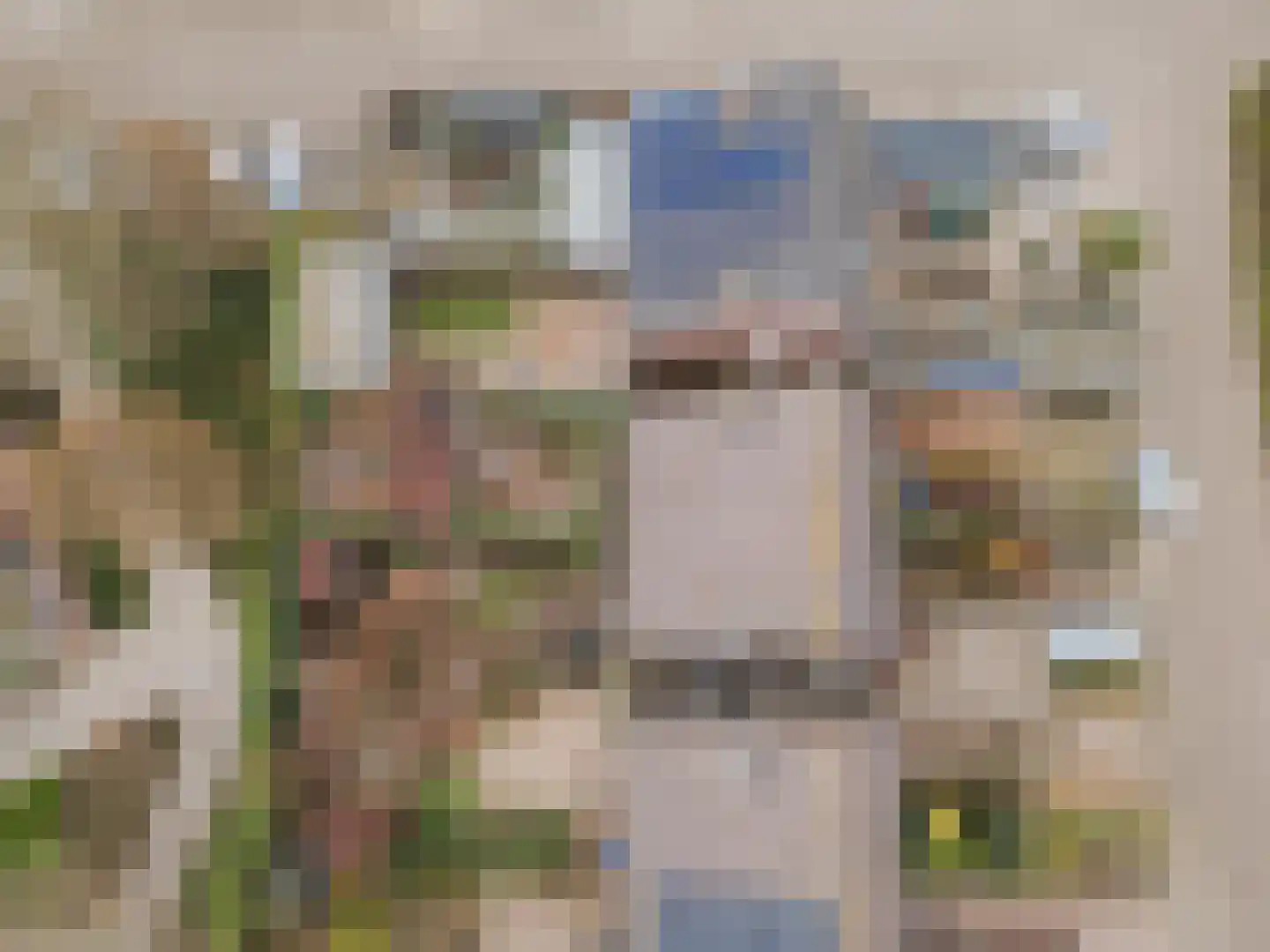 Benraatshoef 37 Raamsdonksveer thumbnail 34