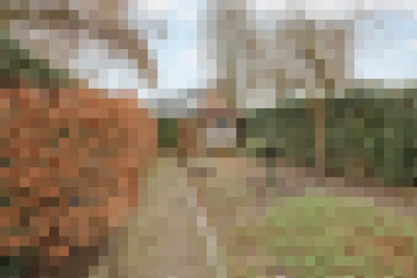 Benraatshoef 37 Raamsdonksveer thumbnail 36