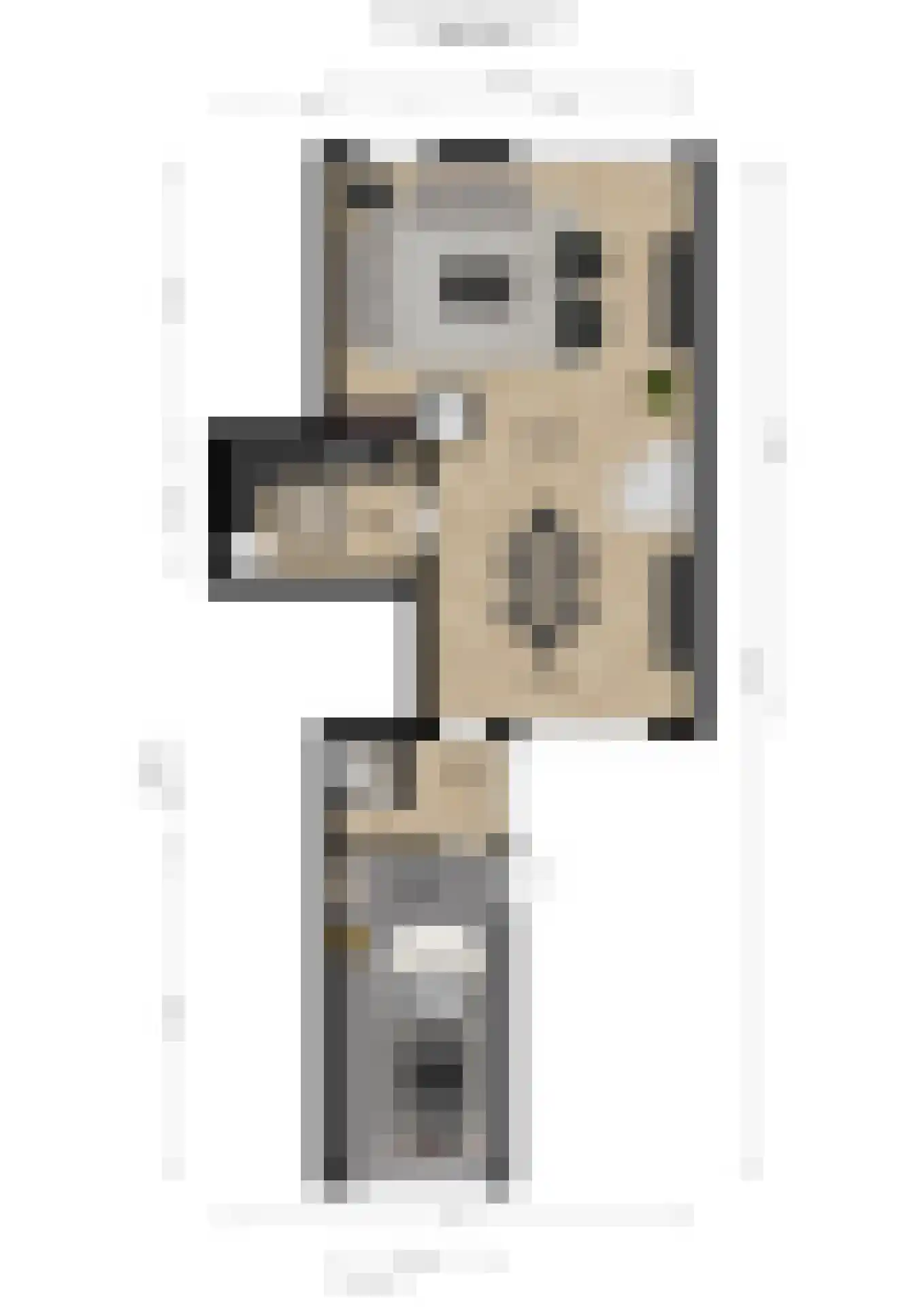 Benraatshoef 37 Raamsdonksveer thumbnail 37
