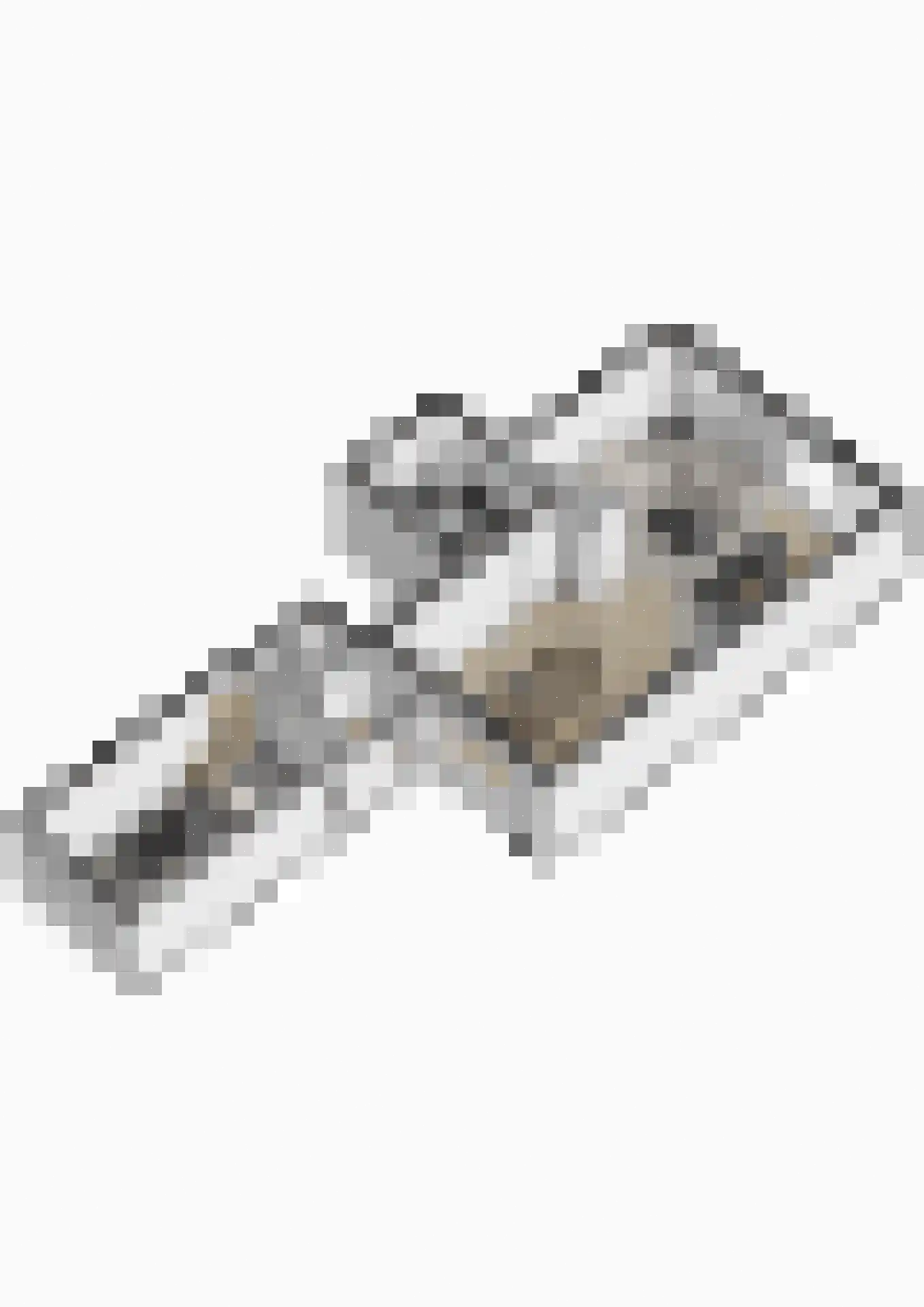 Benraatshoef 37 Raamsdonksveer thumbnail 38