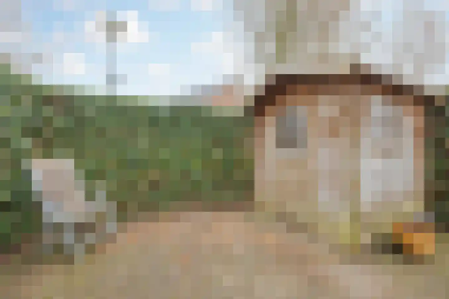 Benraatshoef 37 Raamsdonksveer thumbnail 38