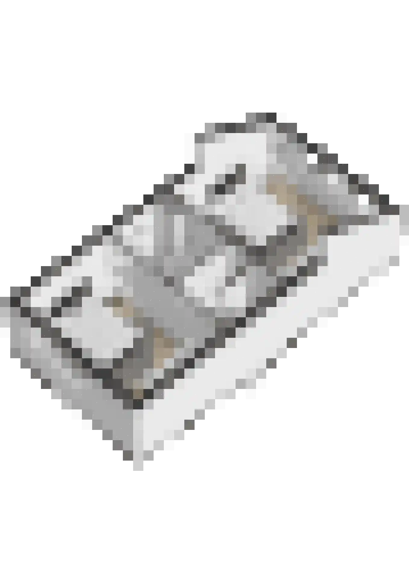 Benraatshoef 37 Raamsdonksveer thumbnail 42