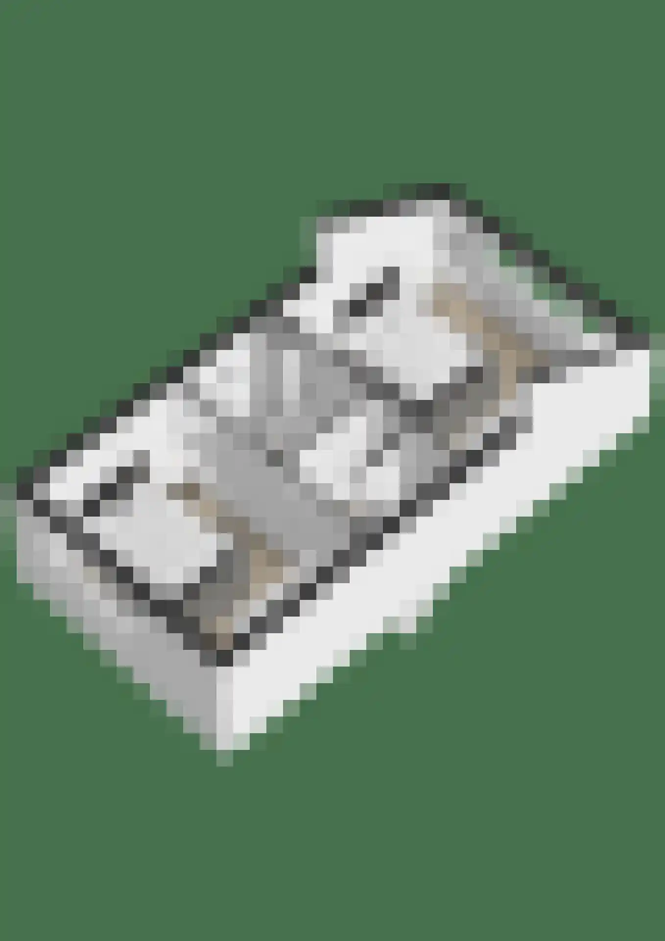 Benraatshoef 37 Raamsdonksveer thumbnail 50