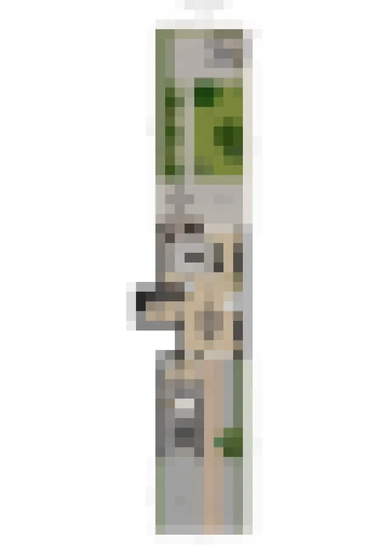 Benraatshoef 37 Raamsdonksveer thumbnail 51