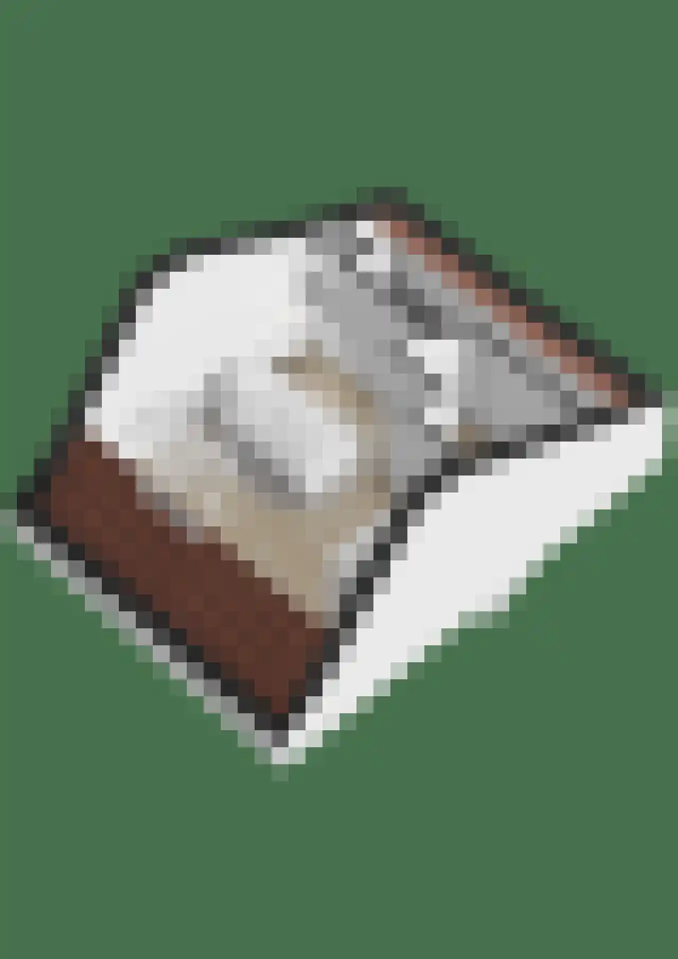 Benraatshoef 37 Raamsdonksveer thumbnail 54
