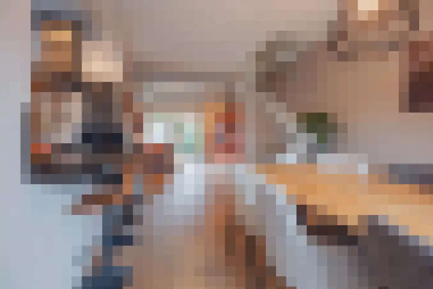 Benraatshoef 7 Raamsdonksveer thumbnail 14