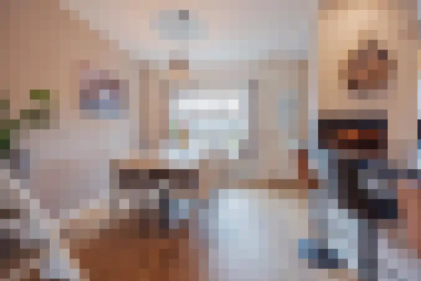Benraatshoef 7 Raamsdonksveer thumbnail 16