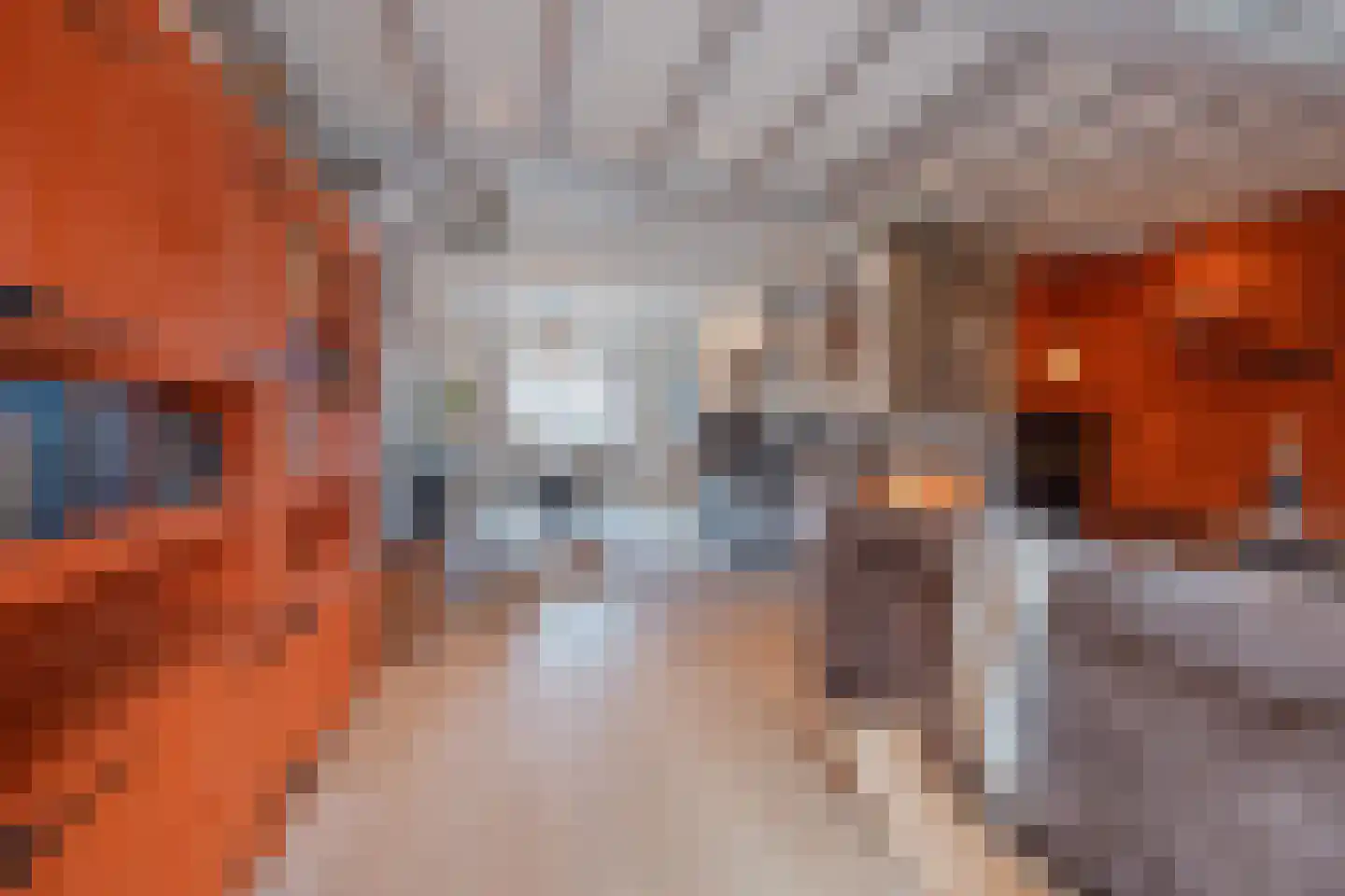 Benraatshoef 7 Raamsdonksveer thumbnail 20