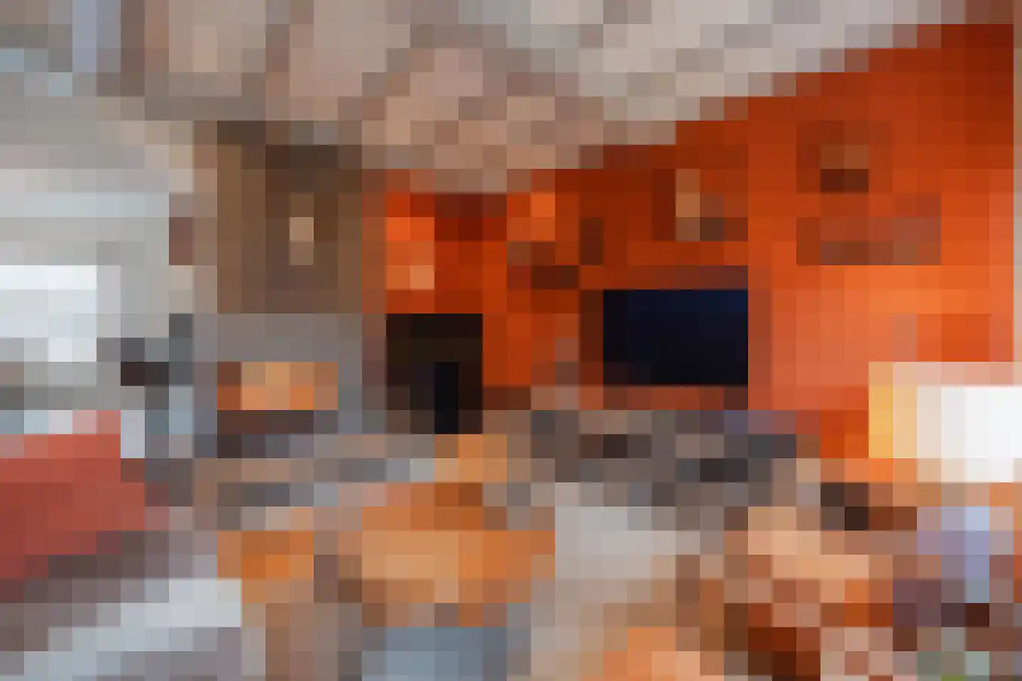Benraatshoef 7 Raamsdonksveer thumbnail 21