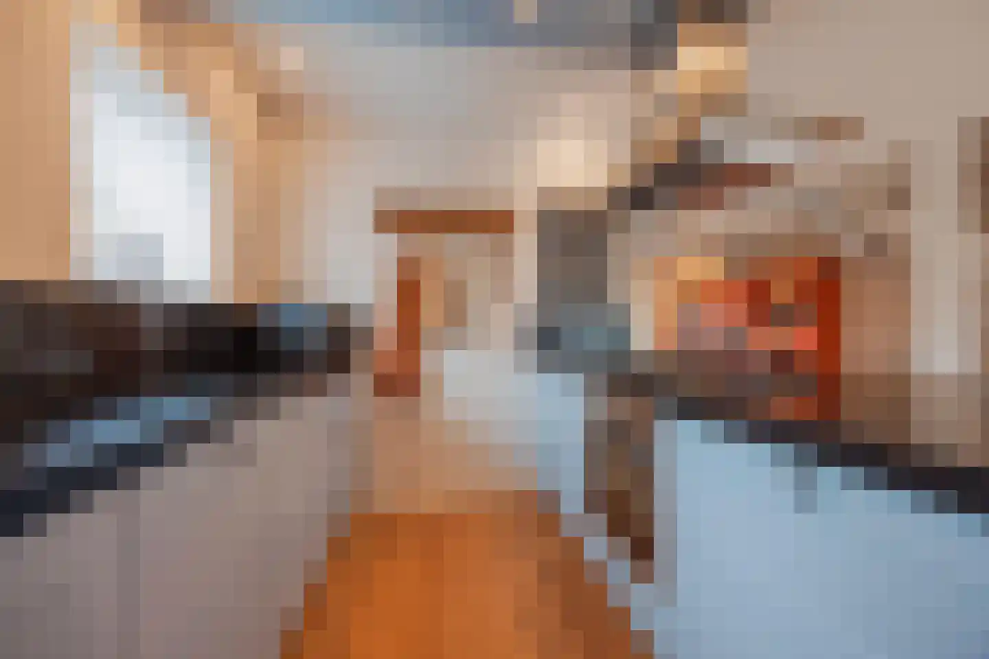 Benraatshoef 7 Raamsdonksveer thumbnail 24