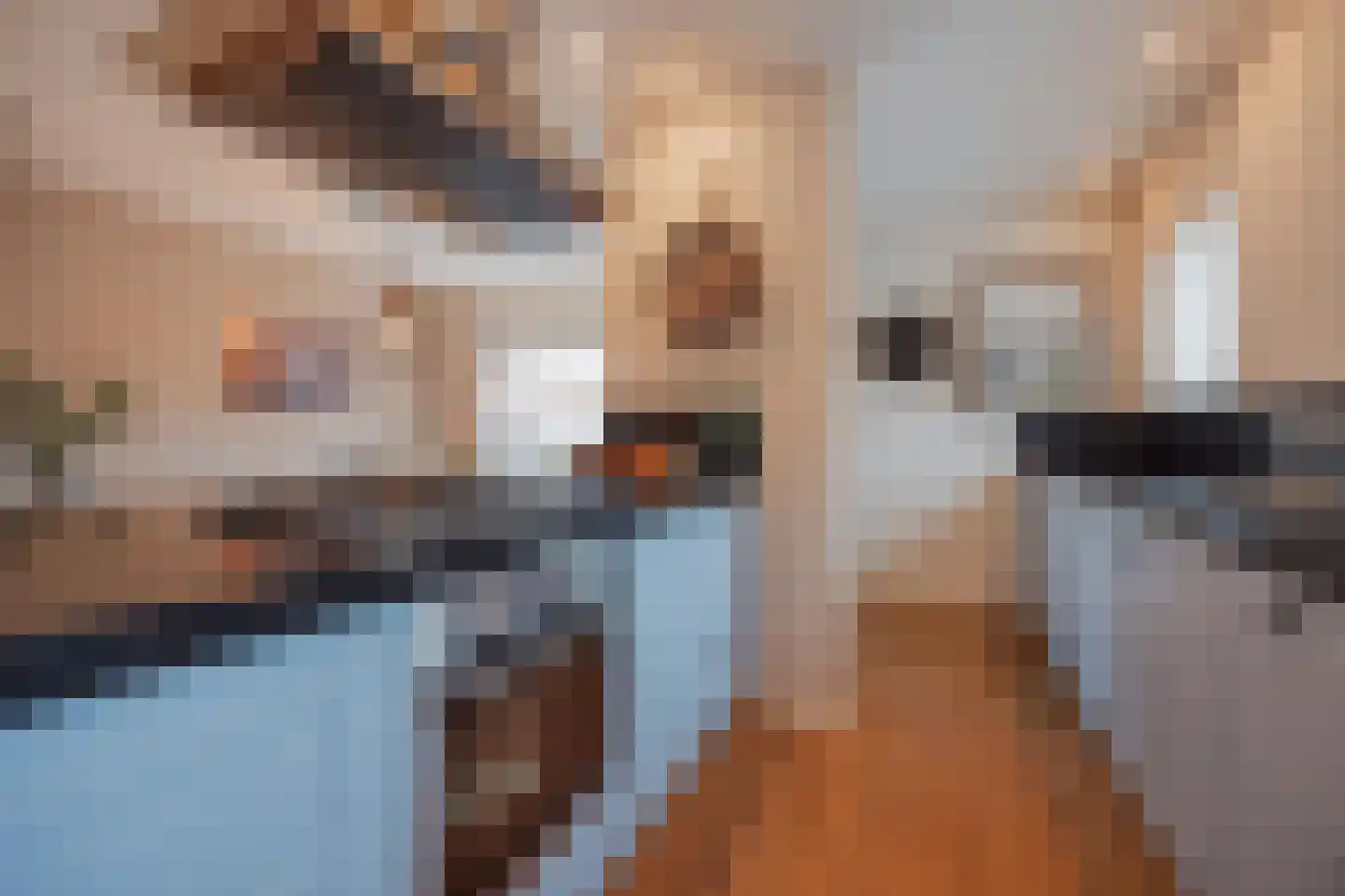 Benraatshoef 7 Raamsdonksveer thumbnail 25