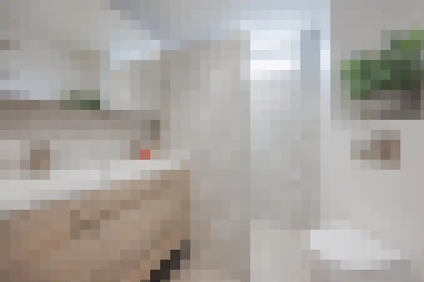 Benraatshoef 7 Raamsdonksveer thumbnail 4