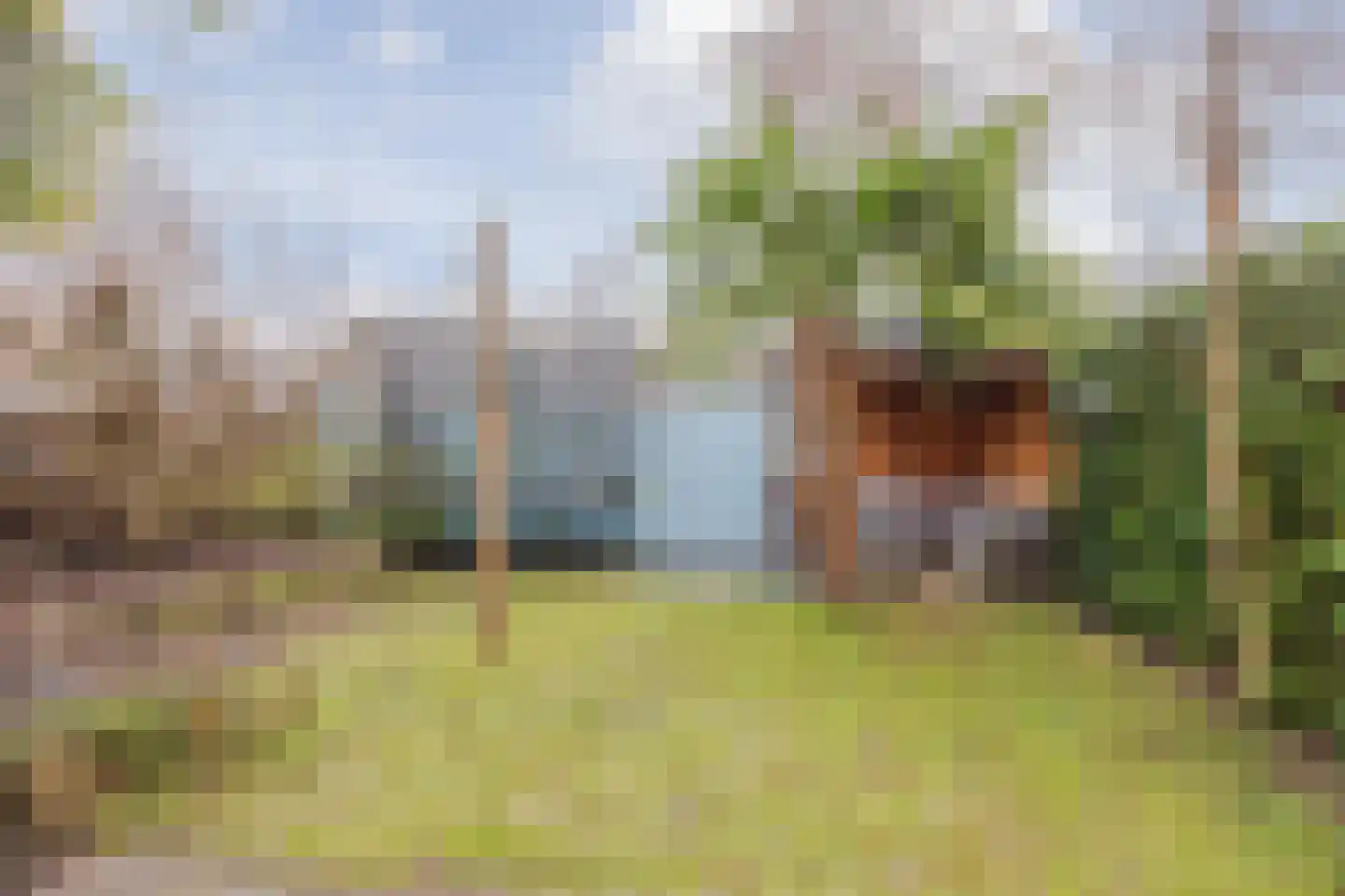 Benraatshoef 7 Raamsdonksveer thumbnail 41