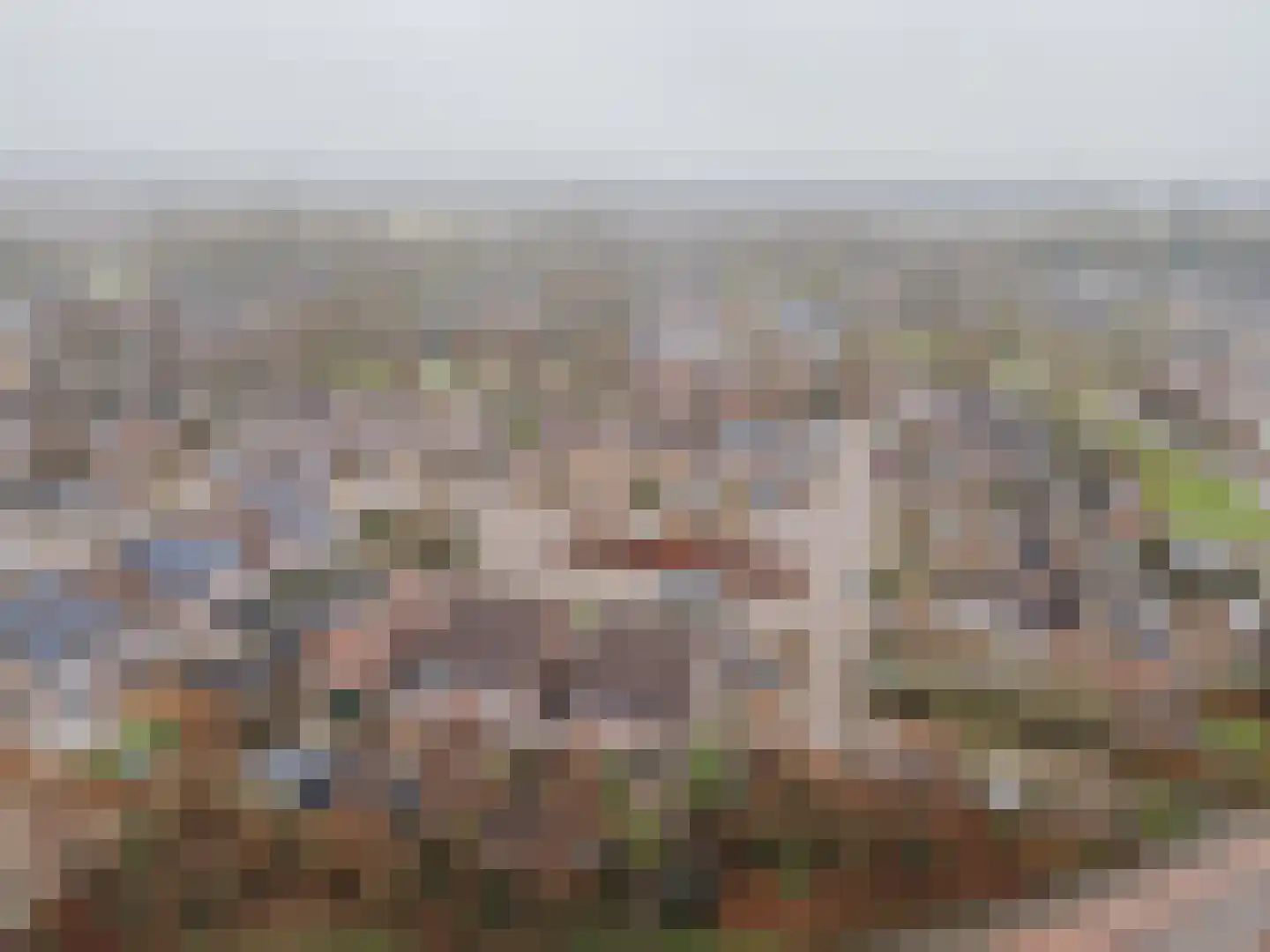 Benraatshoef 7 Raamsdonksveer thumbnail 47