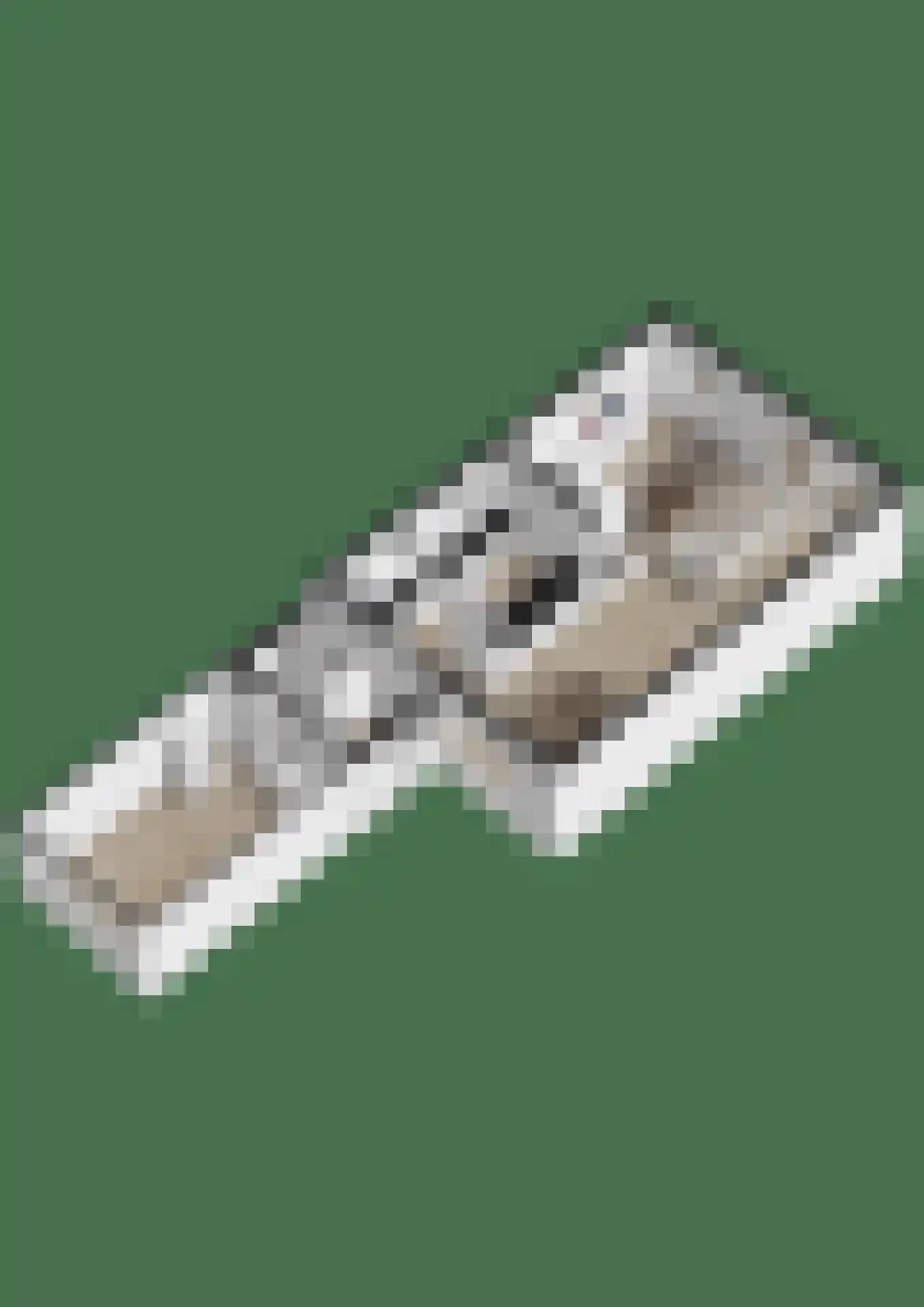 Benraatshoef 7 Raamsdonksveer thumbnail 52