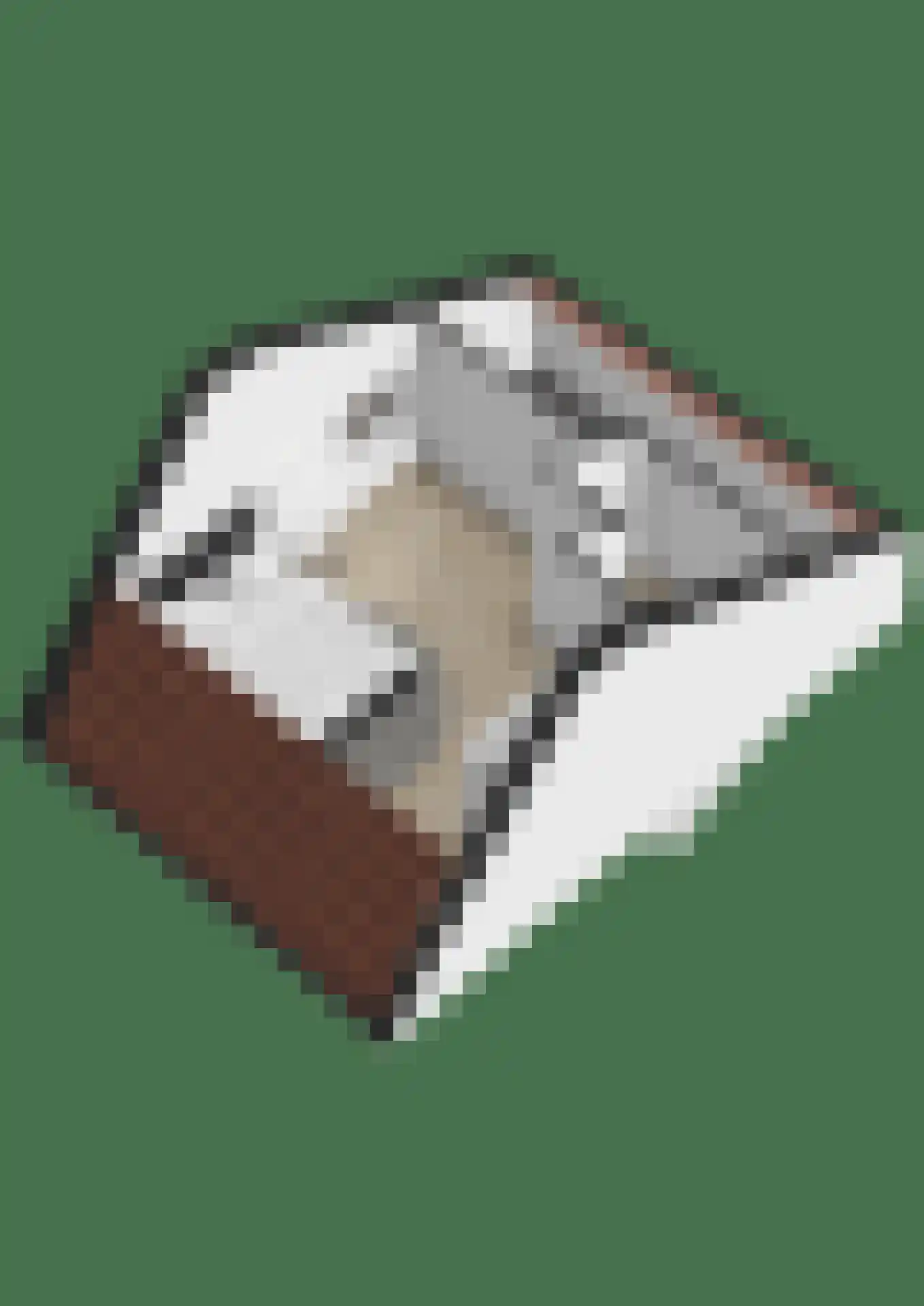 Benraatshoef 7 Raamsdonksveer thumbnail 56