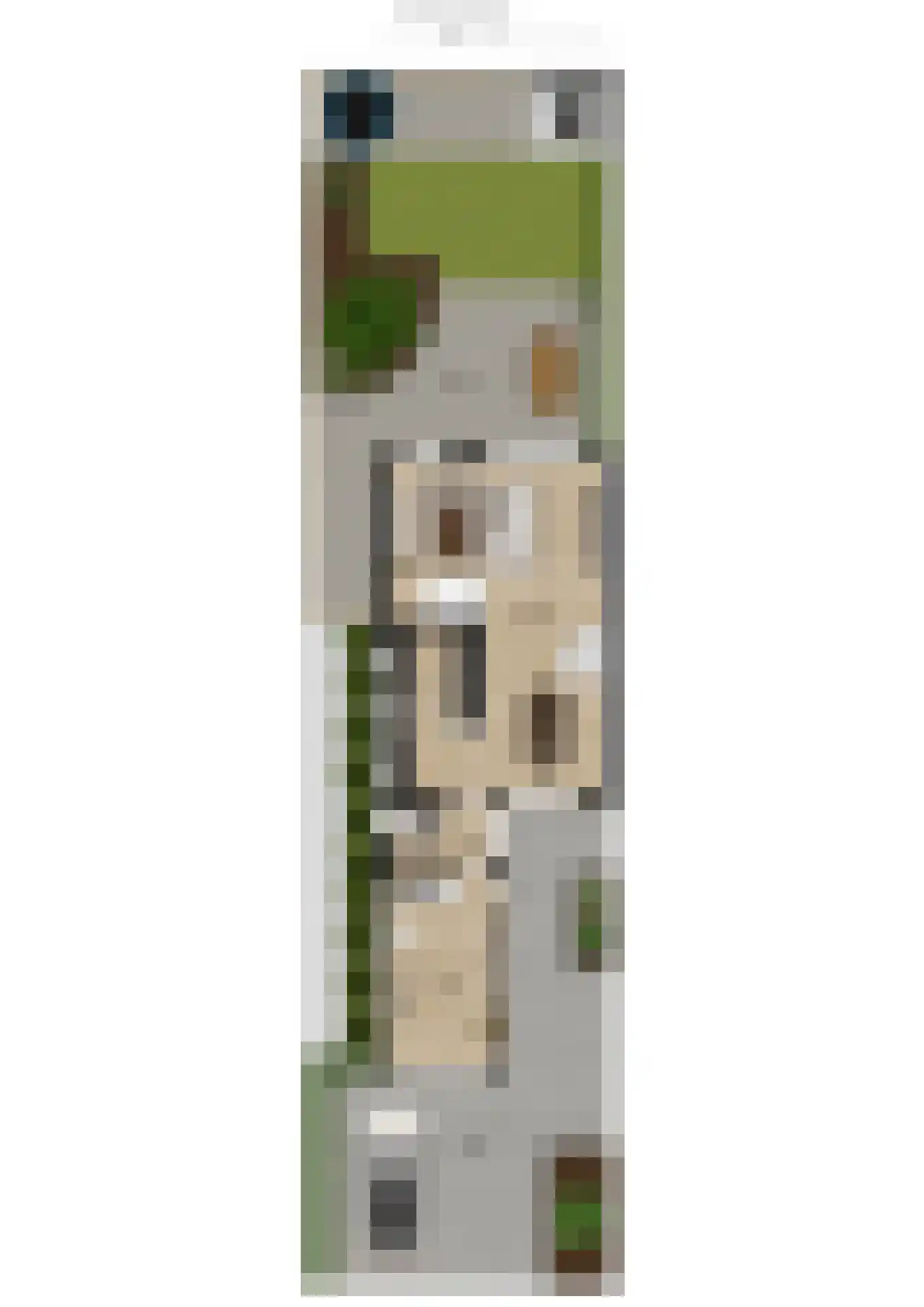 Benraatshoef 7 Raamsdonksveer thumbnail 59