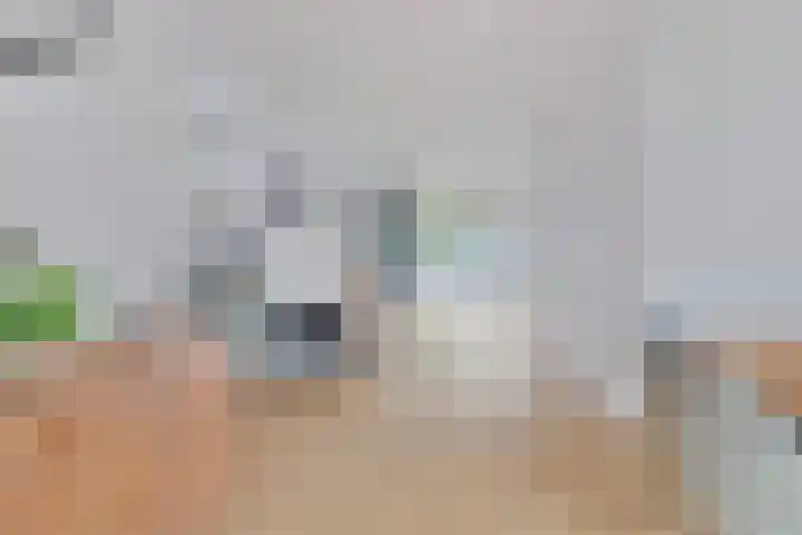 Benraatshoef 9 Raamsdonksveer thumbnail 11