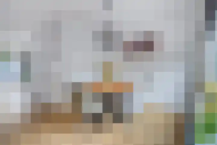 Benraatshoef 9 Raamsdonksveer thumbnail 16