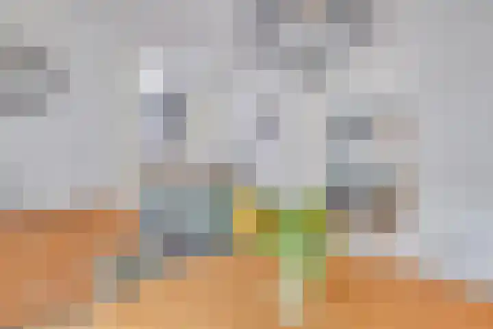 Benraatshoef 9 Raamsdonksveer thumbnail 17