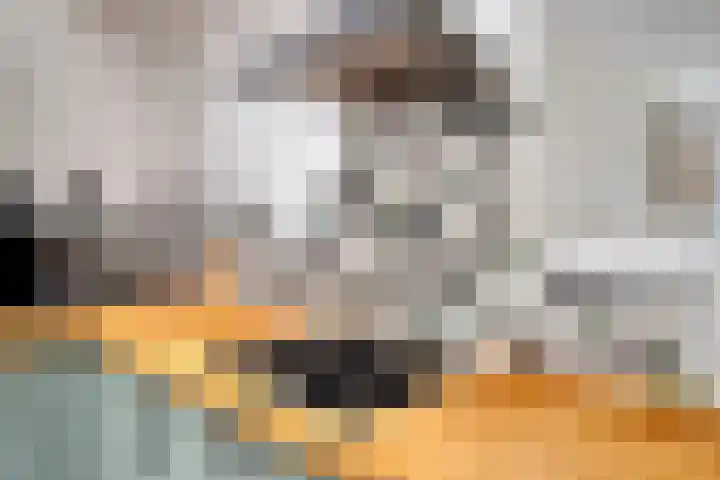 Benraatshoef 9 Raamsdonksveer thumbnail 18