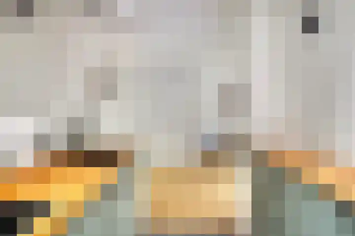 Benraatshoef 9 Raamsdonksveer thumbnail 19