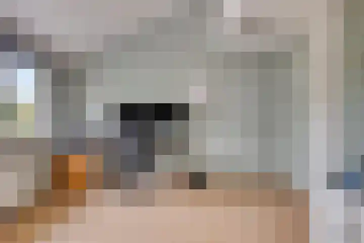 Benraatshoef 9 Raamsdonksveer thumbnail 23