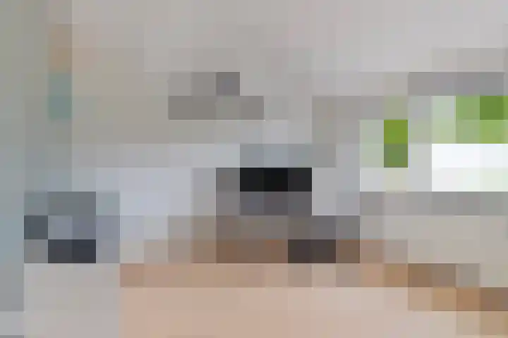 Benraatshoef 9 Raamsdonksveer thumbnail 24
