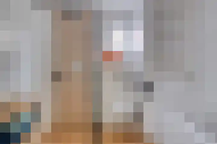 Benraatshoef 9 Raamsdonksveer thumbnail 4