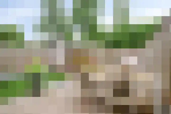 Benraatshoef 9 Raamsdonksveer thumbnail 5