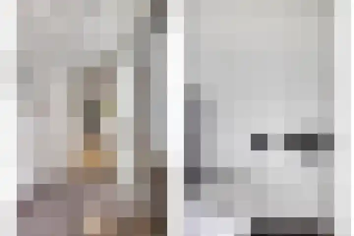 Benraatshoef 9 Raamsdonksveer thumbnail 8