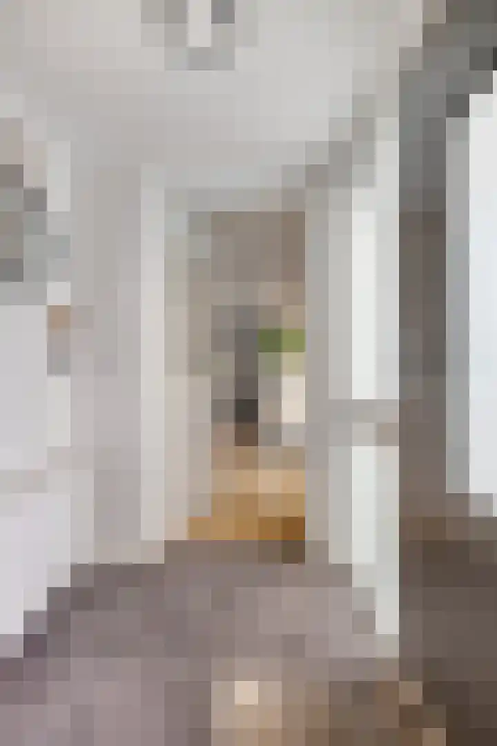Benraatshoef 9 Raamsdonksveer thumbnail 9
