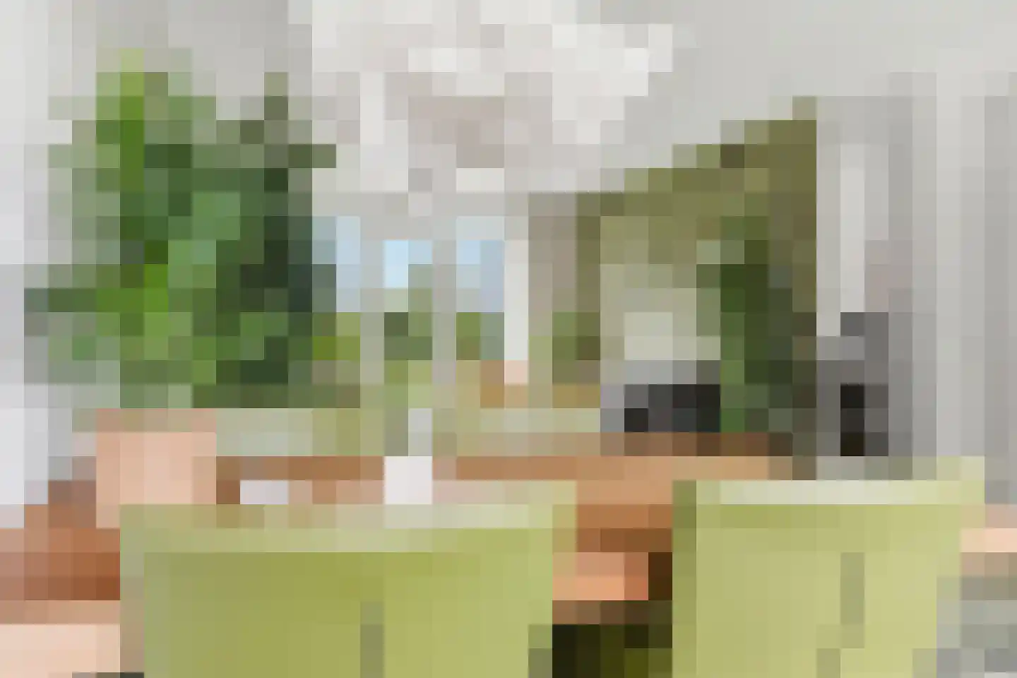 Benscamp 8 Doesburg thumbnail 15