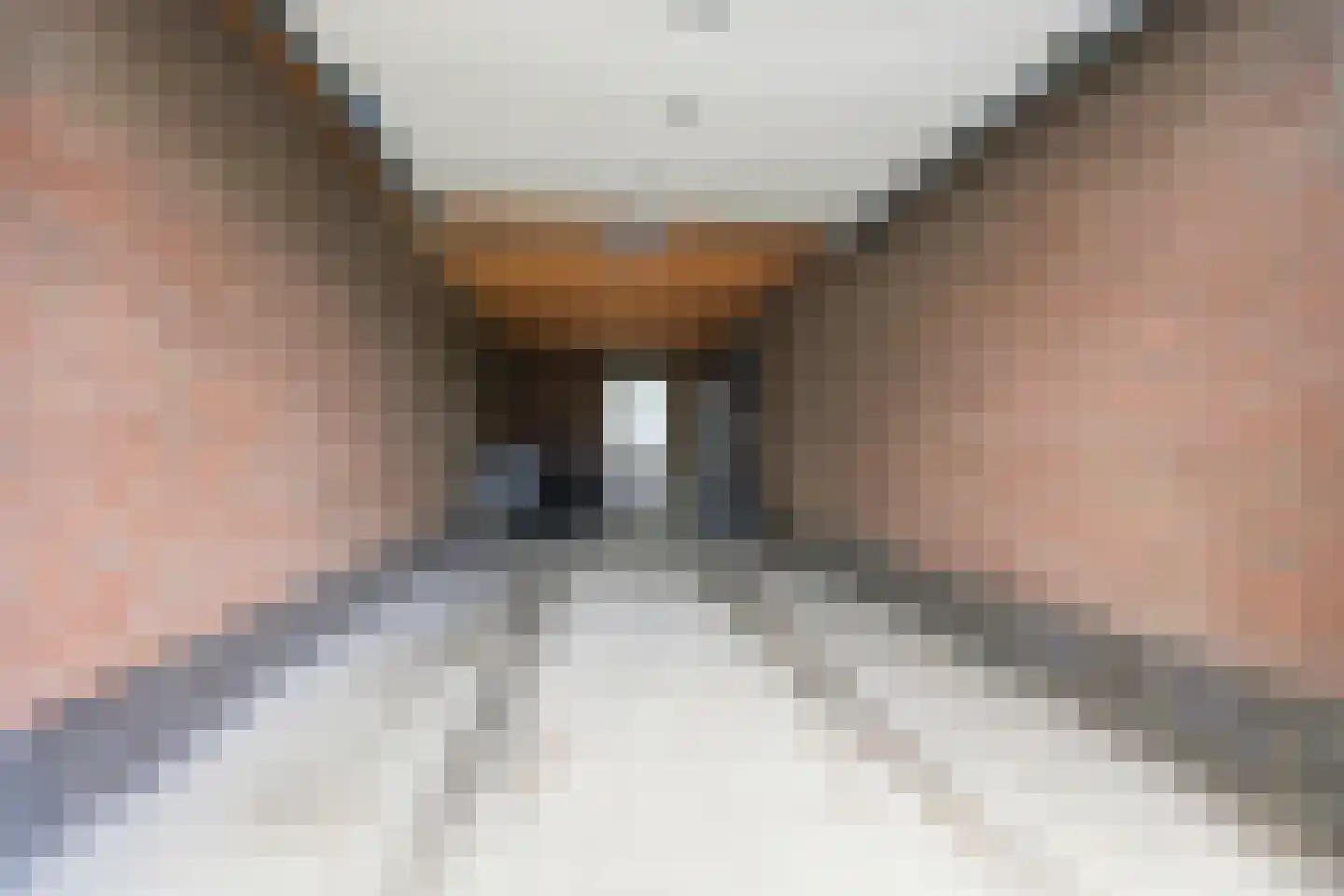 Benscamp 8 Doesburg thumbnail 34