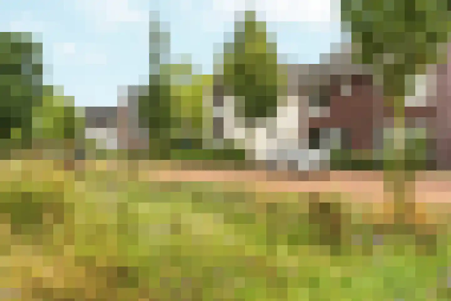 Benscamp 8 Doesburg thumbnail 38