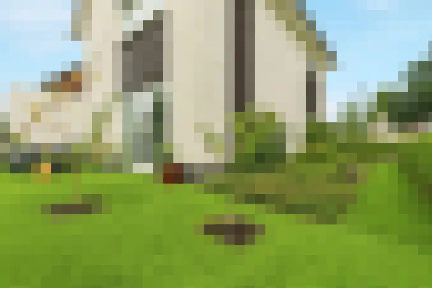 Benscamp 8 Doesburg thumbnail 43