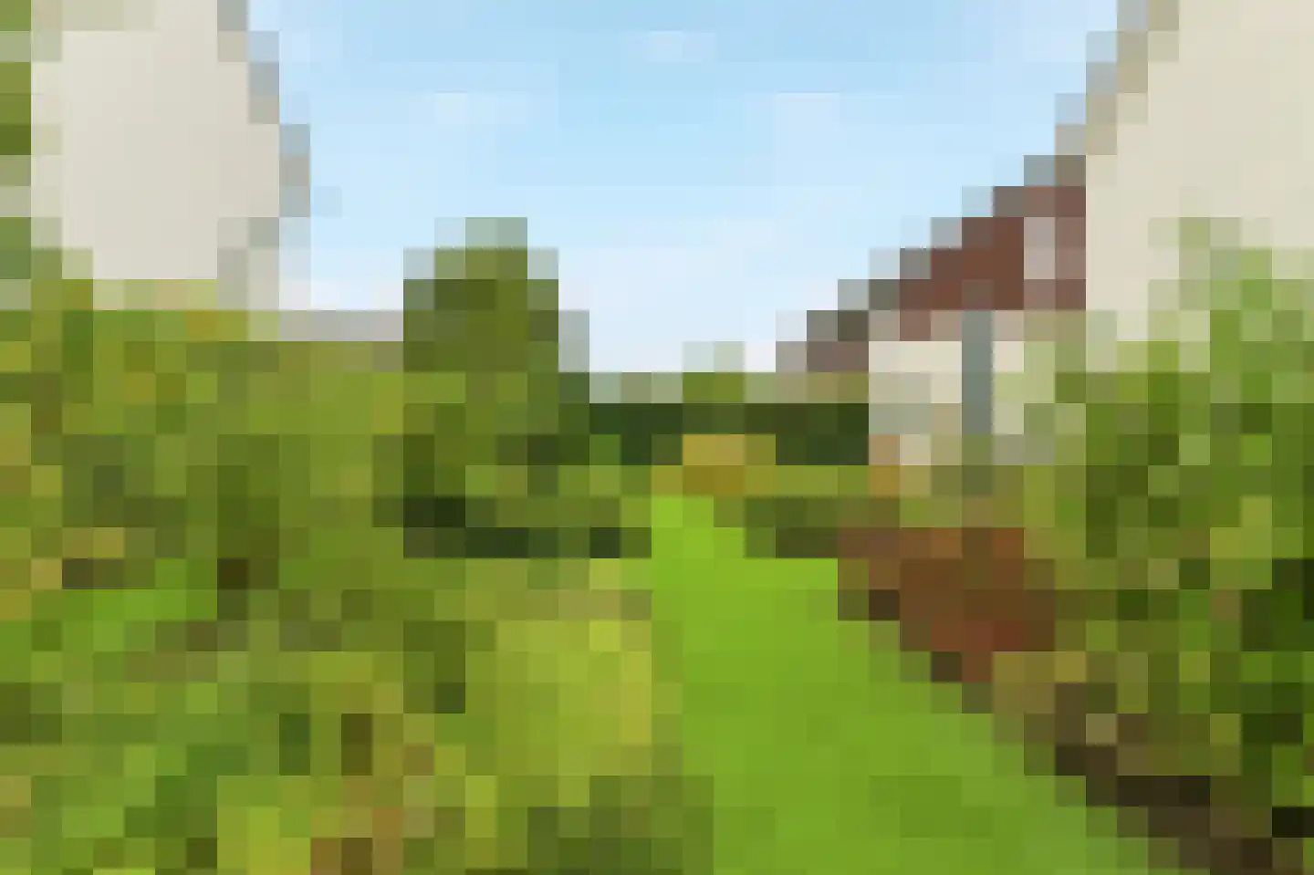 Benscamp 8 Doesburg thumbnail 44