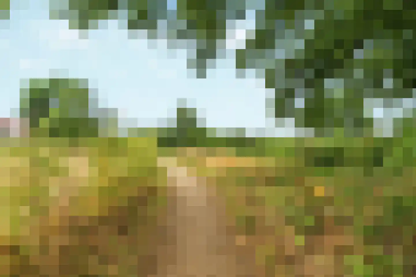 Benscamp 8 Doesburg thumbnail 48