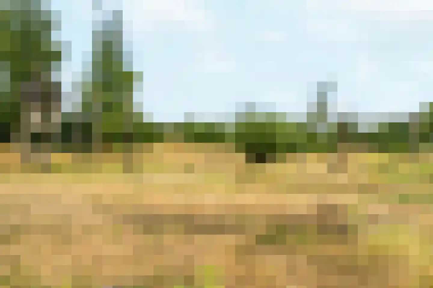 Benscamp 8 Doesburg thumbnail 49