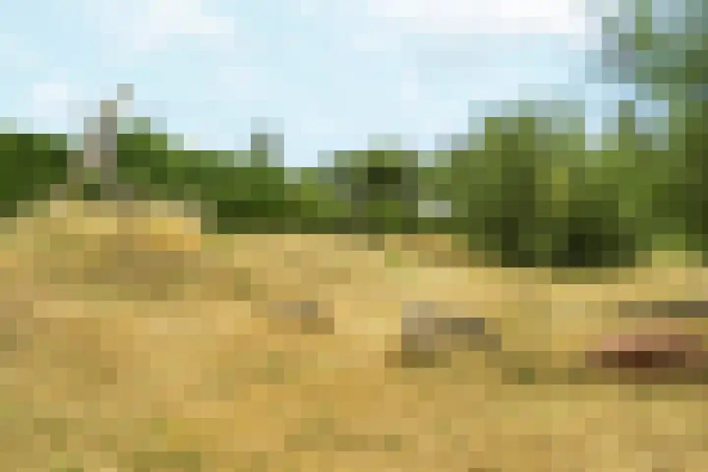 Benscamp 8 Doesburg thumbnail 50