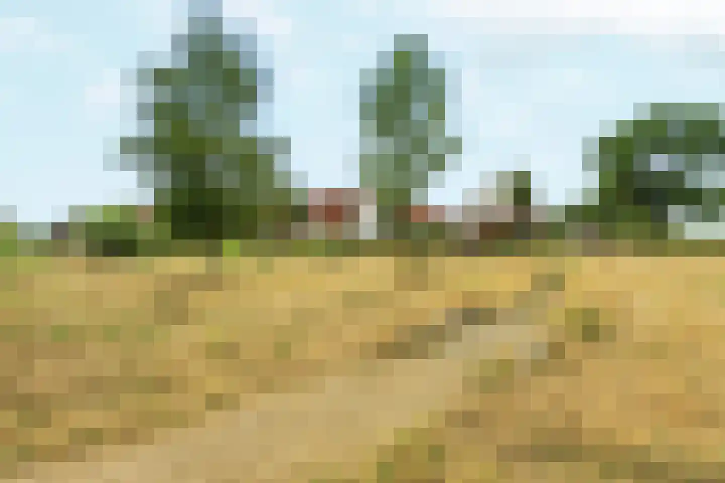 Benscamp 8 Doesburg thumbnail 51