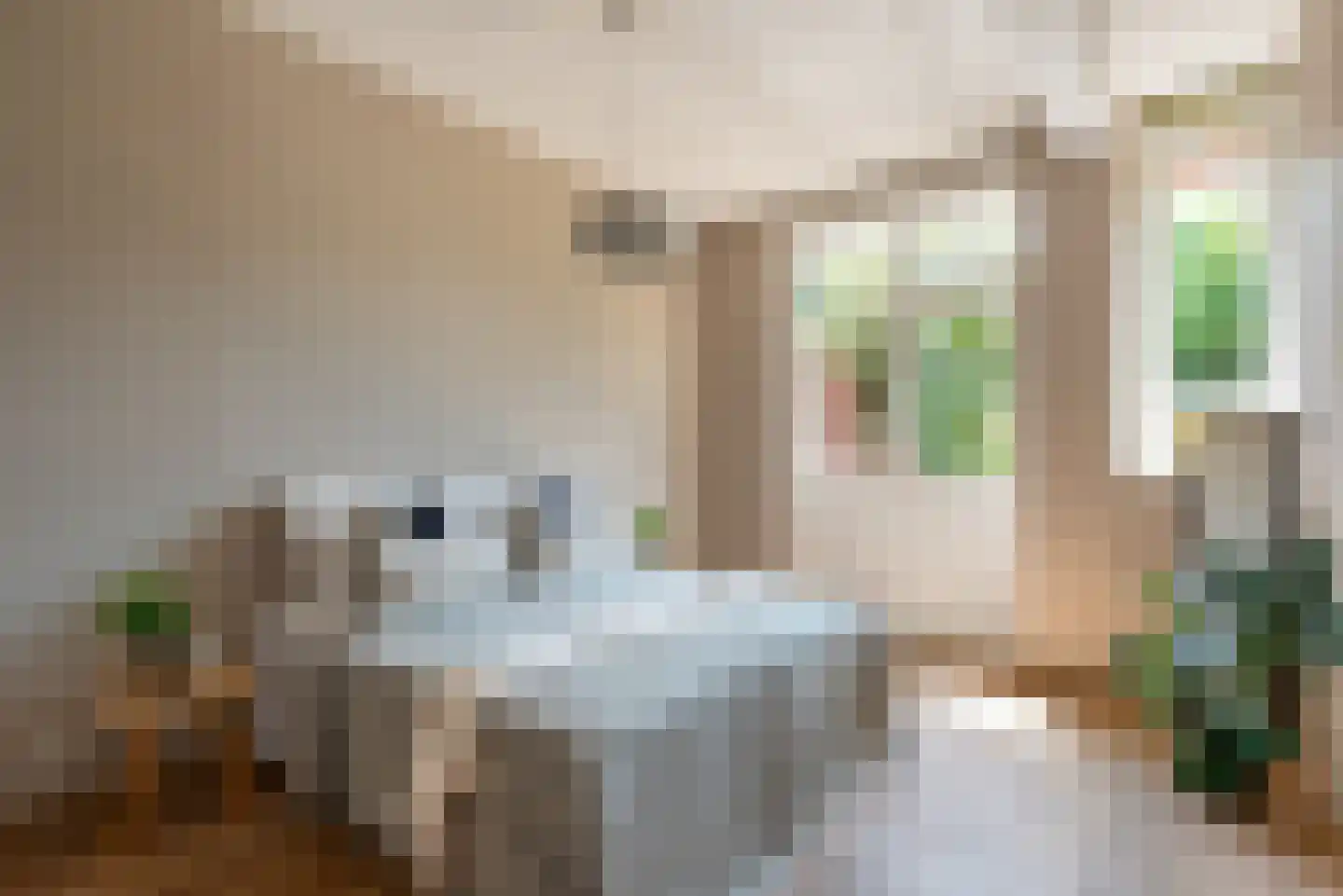 Benschoplaan 16 Den Haag thumbnail 13